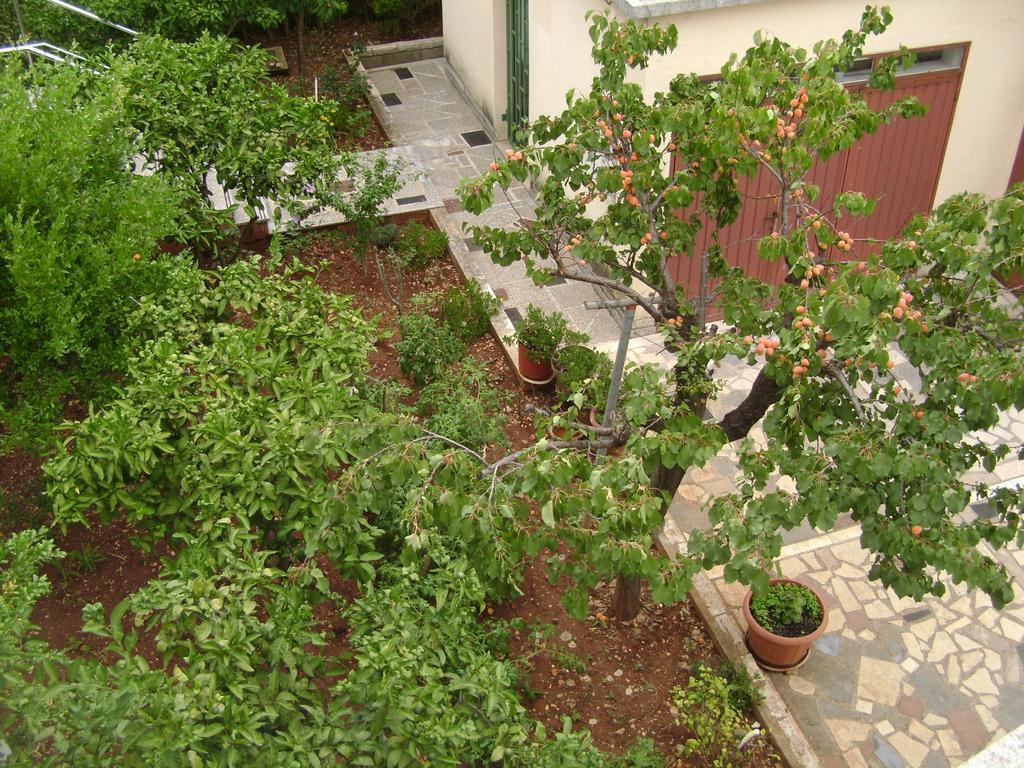Apartmani Tome Zara Esterno foto